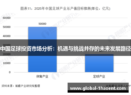 中国足球投资市场分析：机遇与挑战并存的未来发展路径