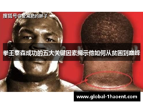 拳王泰森成功的五大关键因素揭示他如何从贫困到巅峰