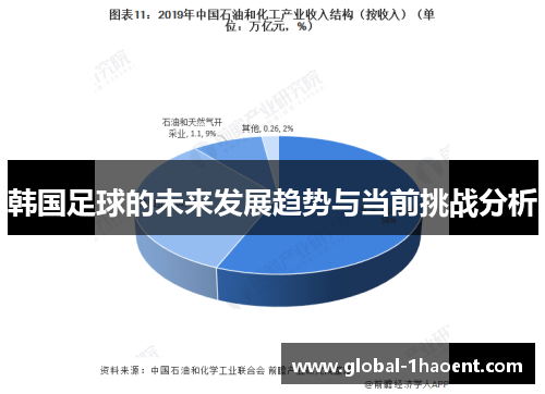 韩国足球的未来发展趋势与当前挑战分析
