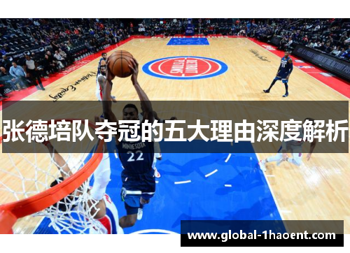 张德培队夺冠的五大理由深度解析