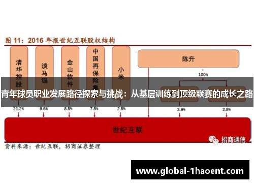 青年球员职业发展路径探索与挑战：从基层训练到顶级联赛的成长之路