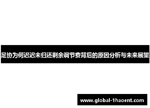 足协为何迟迟未归还剩余调节费背后的原因分析与未来展望 足协为何迟迟未归还剩余调节费背后的原因分析与未来展望
